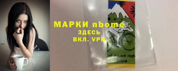 стаф Надым