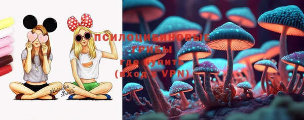 apvp Нефтегорск