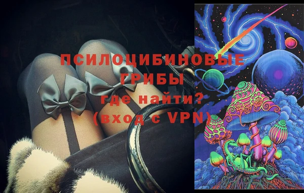 стаф Надым