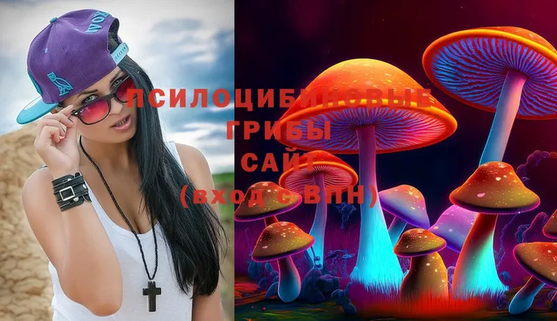 Псилоцибиновые грибы MAGIC MUSHROOMS  Артёмовск 